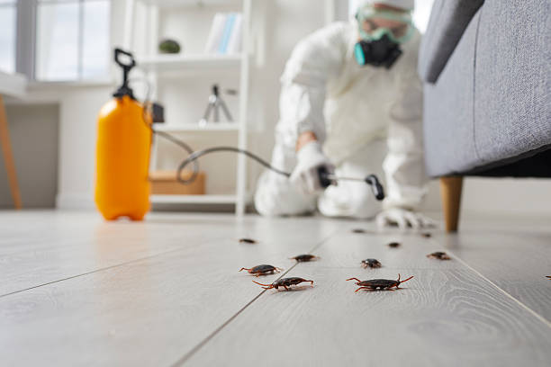 Commercial Kitchen Cockroach Control in Rankin